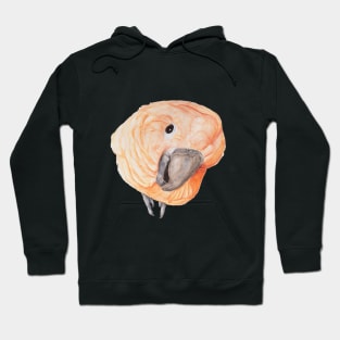 Watercolor cockatoo umbrella white pink parrot Hoodie